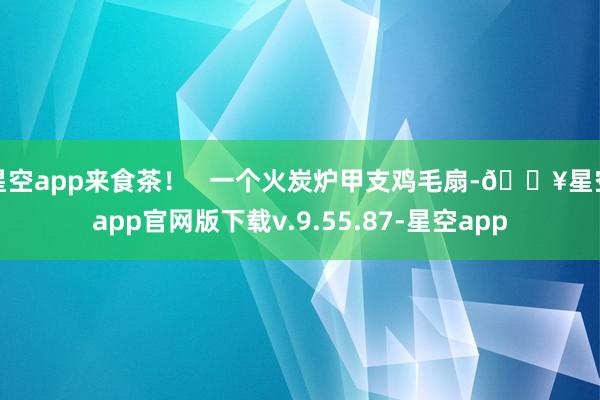 星空app来食茶！   一个火炭炉甲支鸡毛扇-🔥星空app官